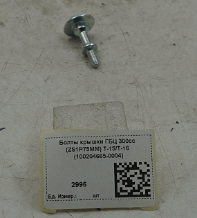 Болты крышки ГБЦ 300сс (ZS1P75MM) T-15/T-16 (100204665-0004)