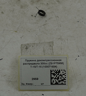 Пружина декомпрессионная распредвала 300cc (ZS1P75MM) T-15/T-16 (100071654)