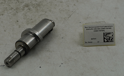 Вал балансировочный двигателя ENDURO 250-300 (CBB170FMM /CBB170FMN)