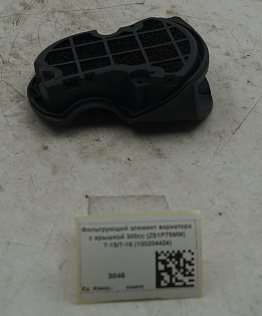Фильтрующий элемент вариатора с крышкой 300сс (ZS1P75MM) T-15/T-16 (100204424)