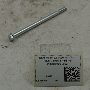 Болт М6х112,5 скутера 300сс (ZS1P75MM) T-15/T-16 (100072796-0002)